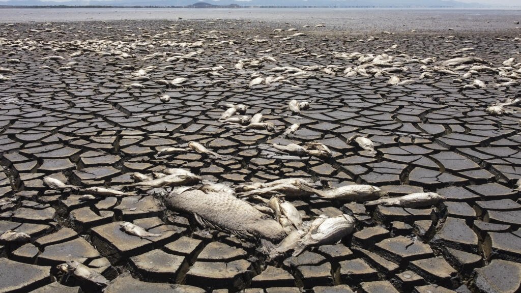 Global temperatures have exceeded the 1.5C target in the past two years, the EU monitor says