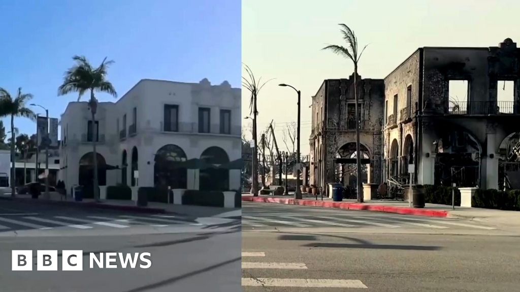 Before and after the Pacific Palisades wildfire