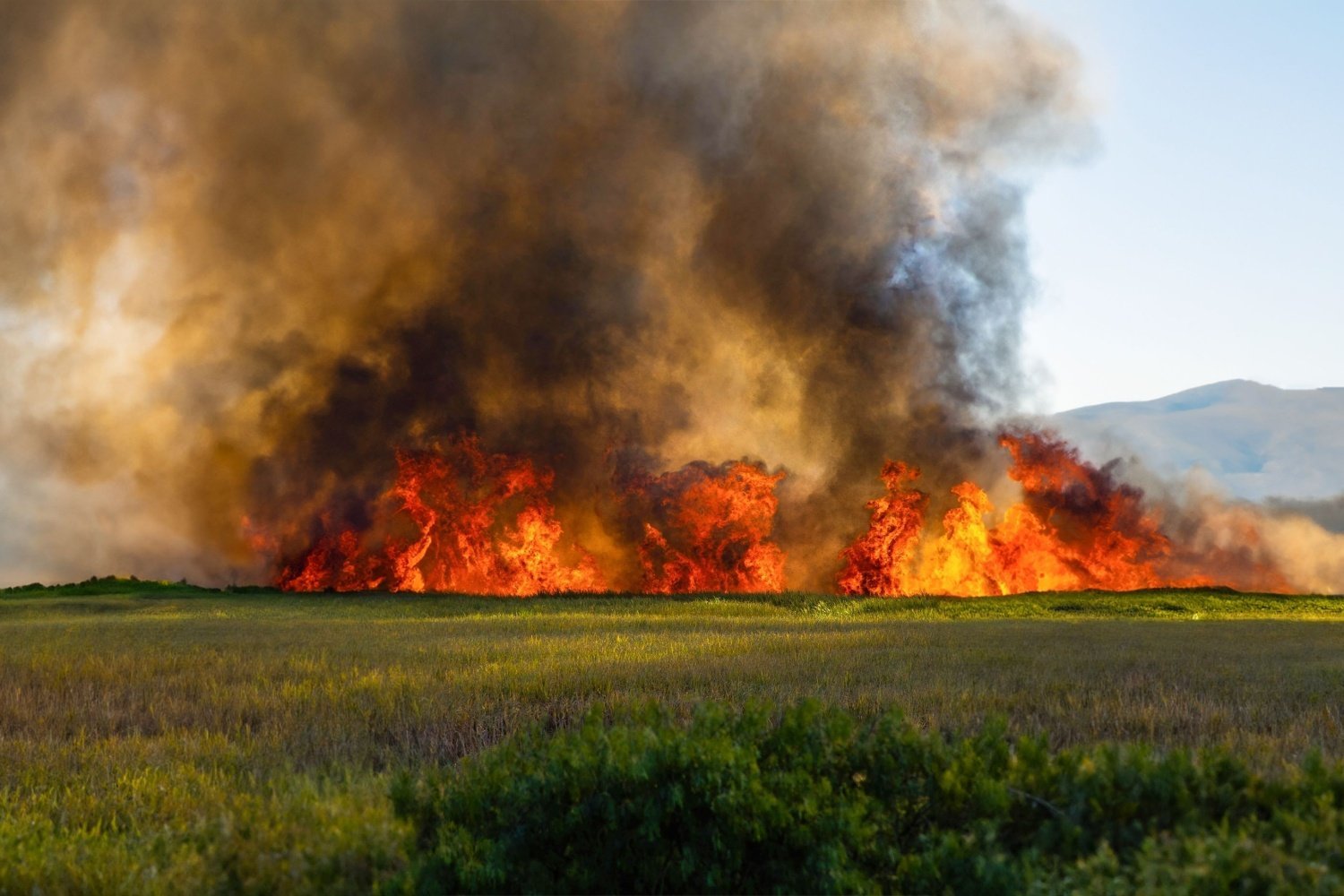 What You Need to Know About Wildfire Smoke in Homes