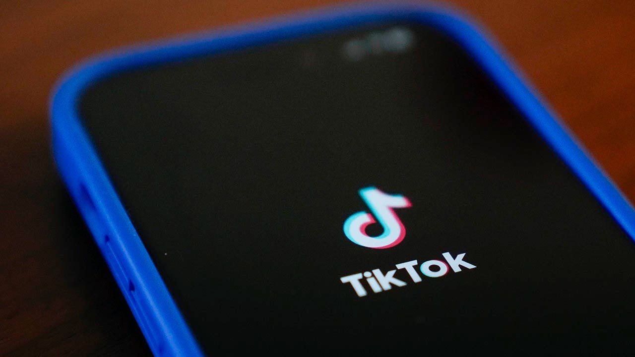 TikTok says it will ‘go dark’ on Sunday without ‘definitive’ guarantee Biden admin won’t enforce ban