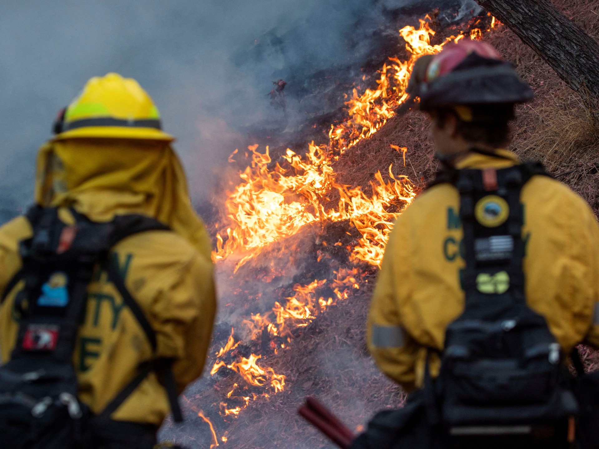 Photos show scale of devastation caused by Los Angeles wildfires before and after Climate crisis news