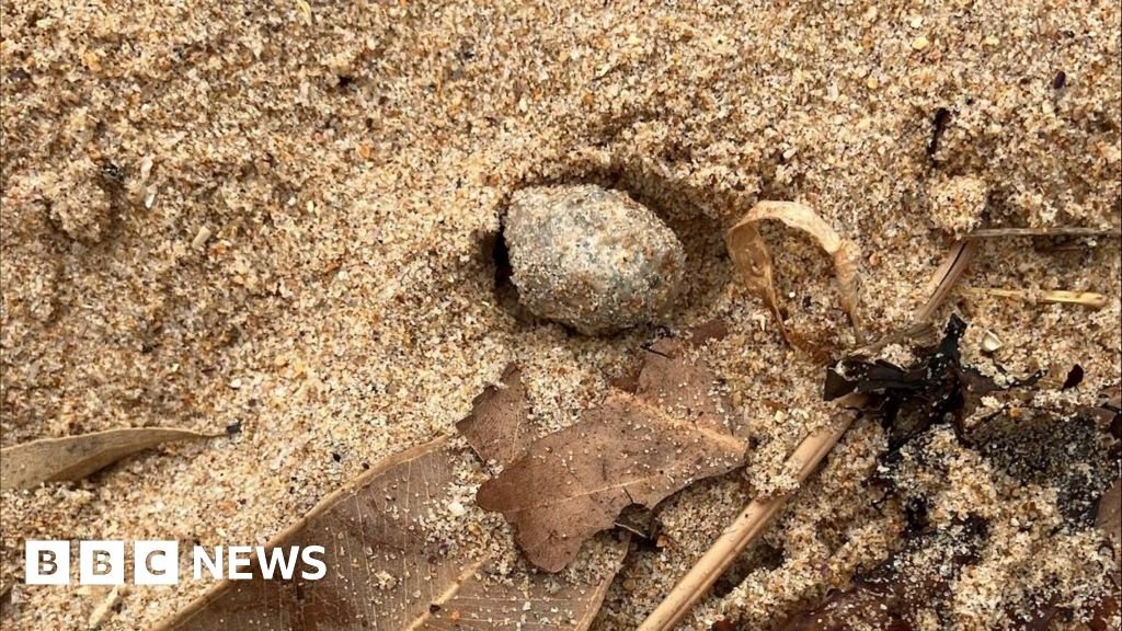 Feces and bacteria found in mystery ball at beach