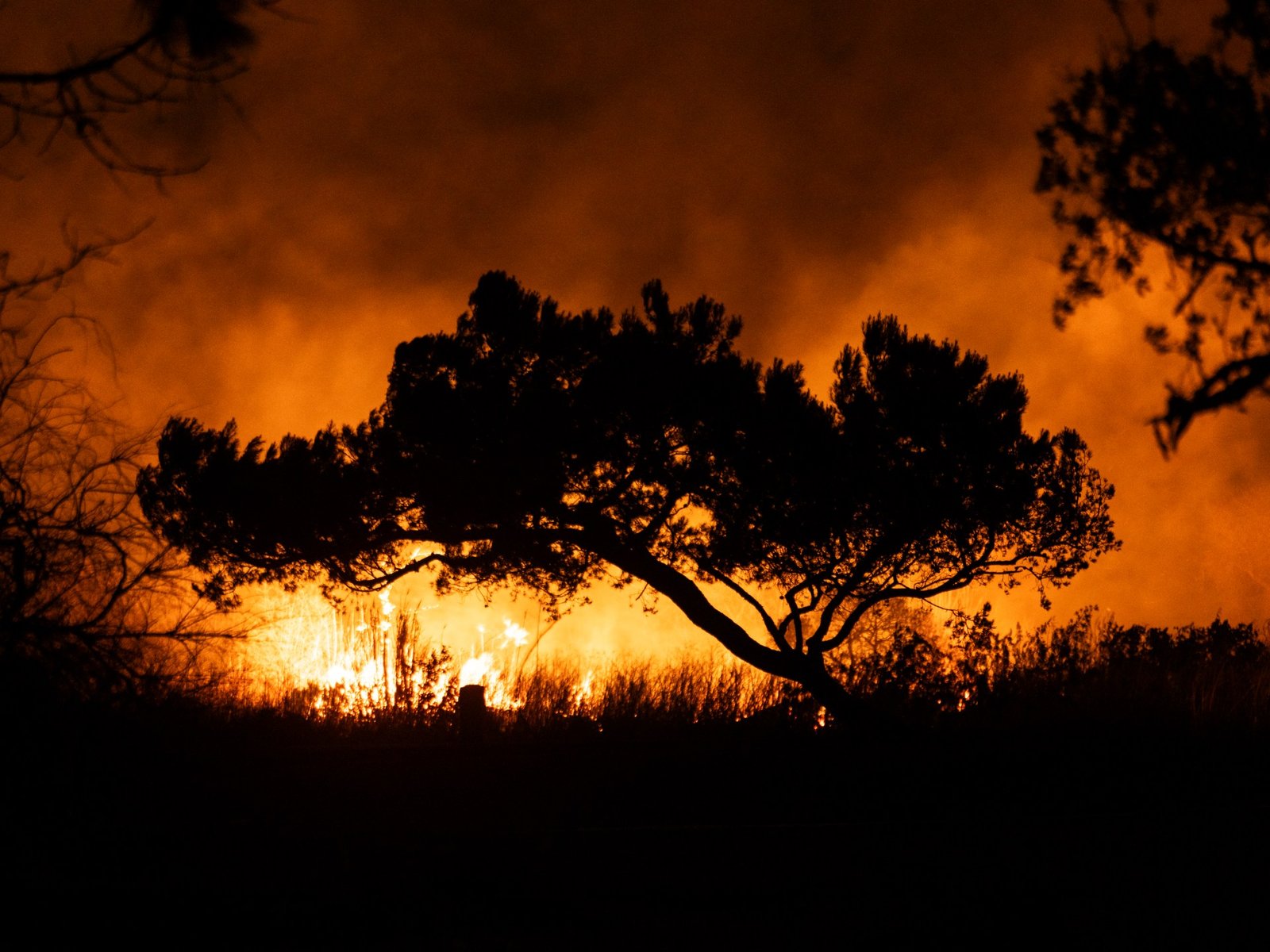 What to know about the Los Angeles Fire Department budget | Climate crisis news