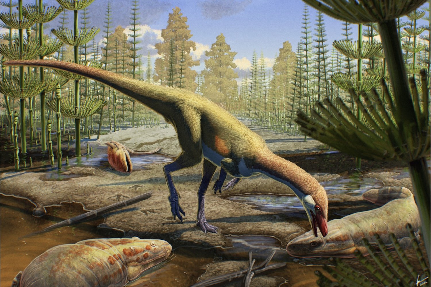 230 Million-Year-Old Fossils From Wyoming Challenge Dinosaur Origin Theories