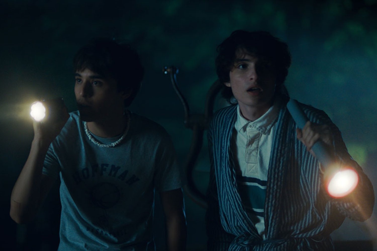 Wait, Stranger Things’ Finn Wolfhard Co-Directs A Summer Camp Slasher Comedy?