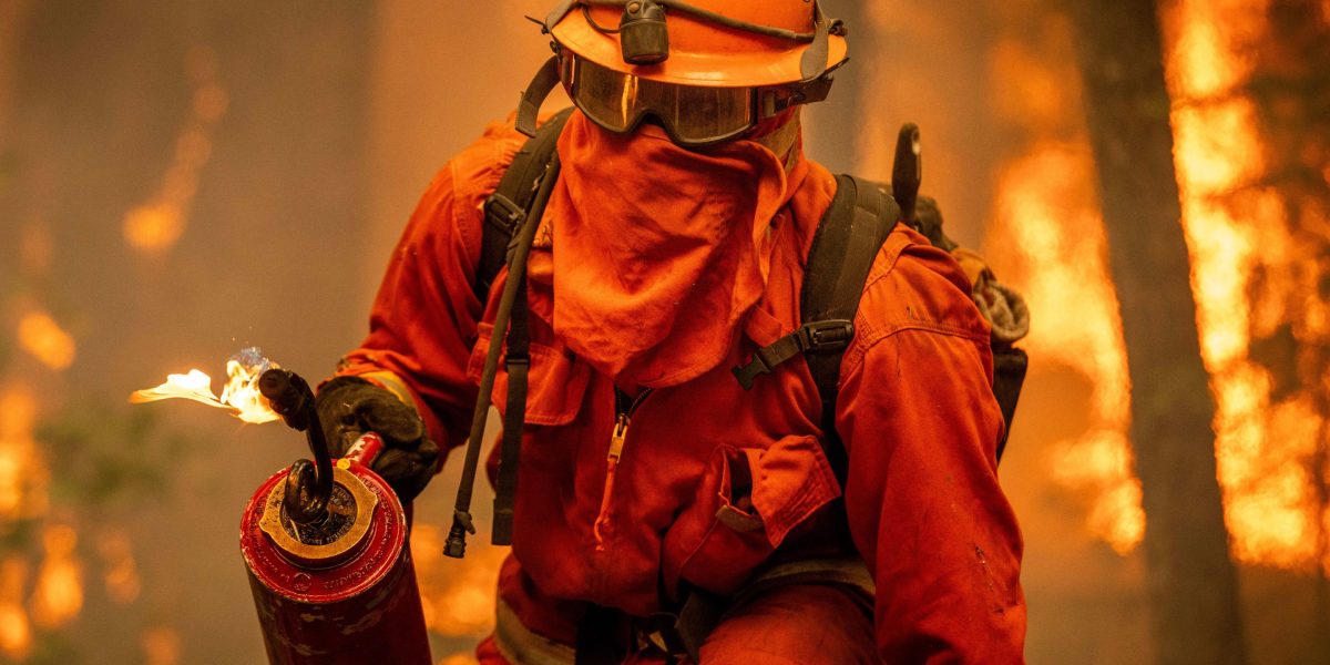 Prisoners fighting bushfires see chance for redemption: ‘I really appreciate the chance to stay out of jail and get out to change lives and save lives’