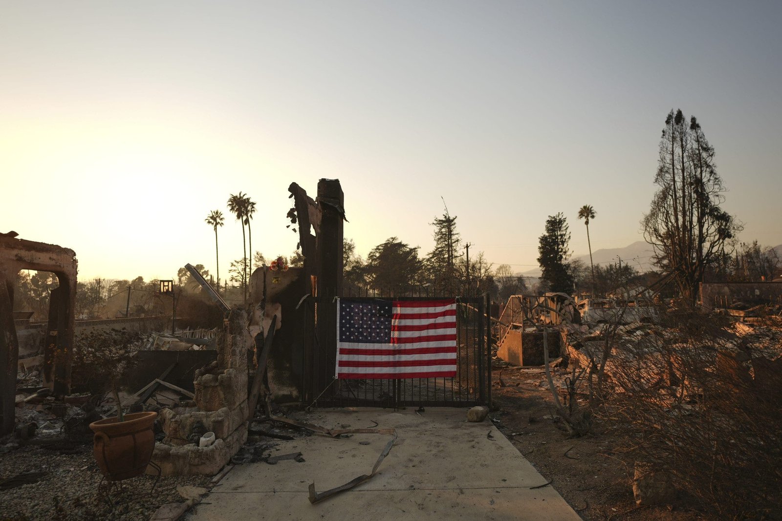 David Marcus: California has a lot to learn from Florida when it comes to looters