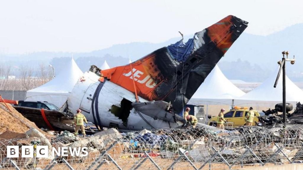 Bird feathers found in crashed South Korean jet