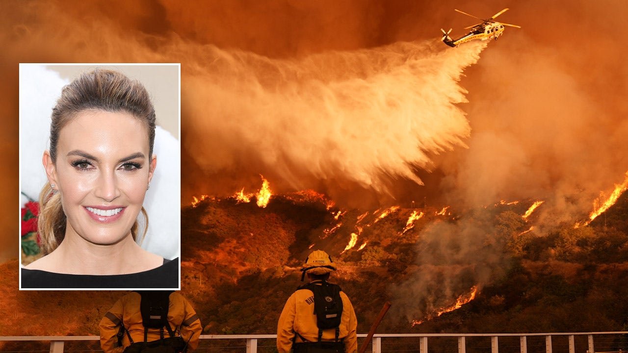 Hollywood actress calls LA fires ‘a disaster’, says elected officials aren’t doing enough