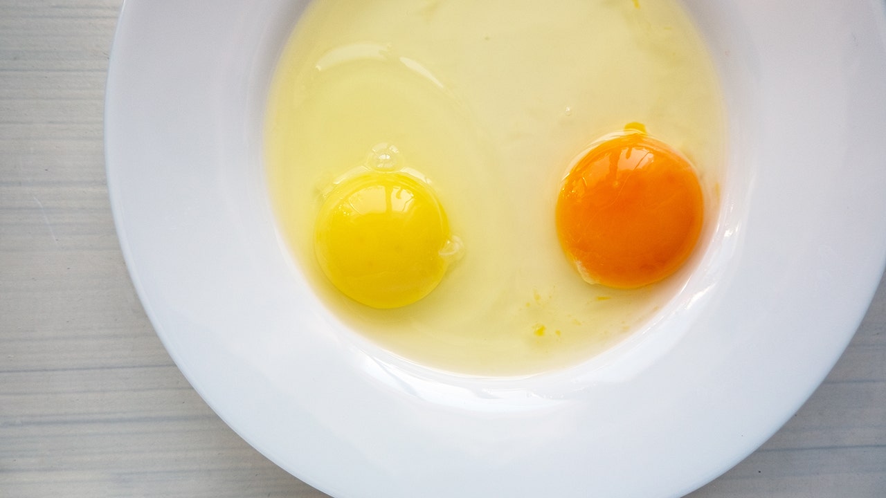 Yolk Color: Differences in Egg Yolk and Cracked Eggshell