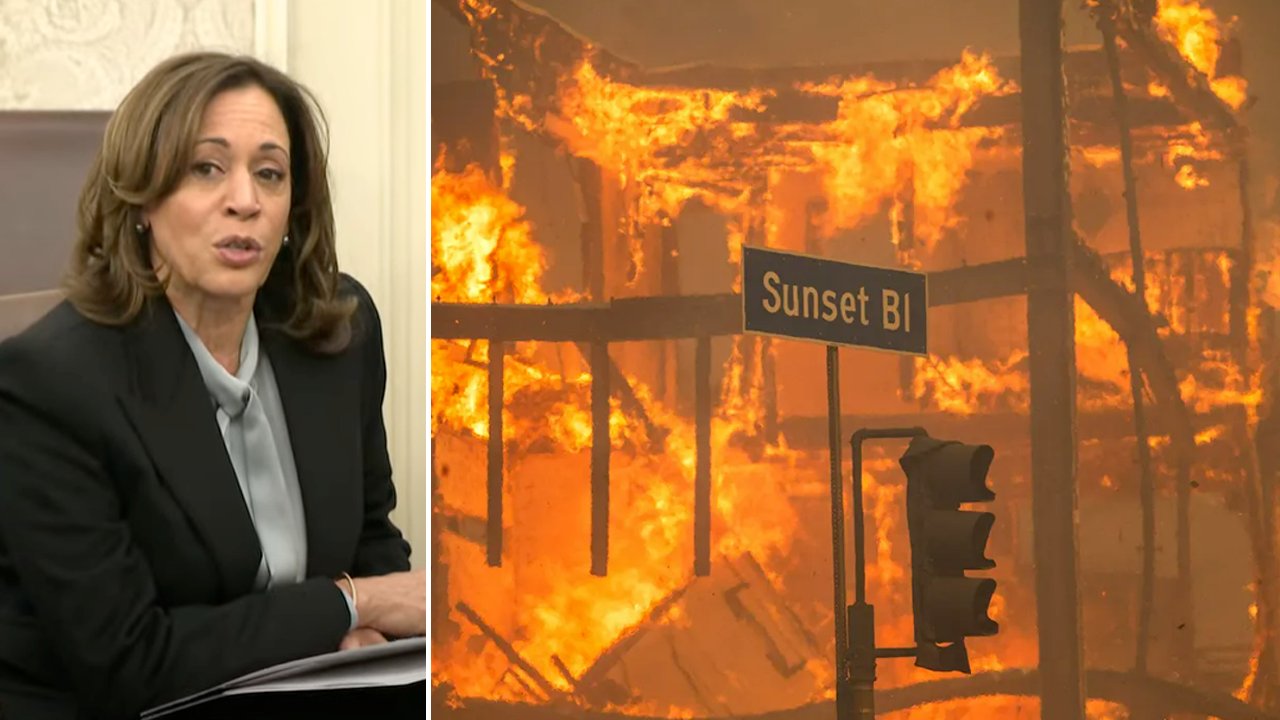 Harris mocked for ‘confusing word salad’ tells LA wildfire victims it’s ‘vital’ to be patient