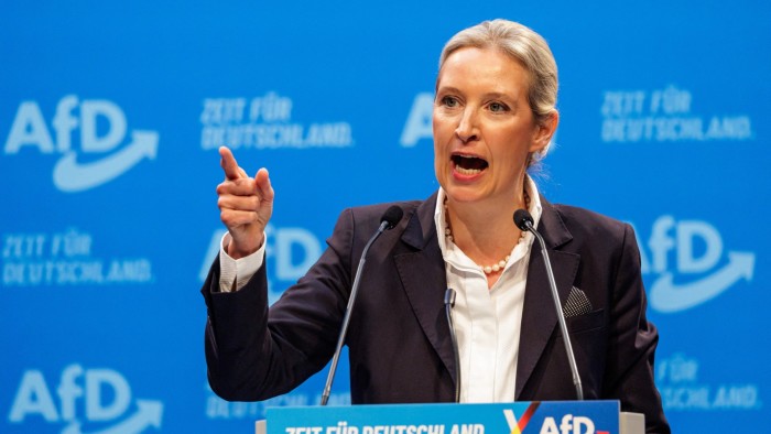 The co-leader of Germany’s far-right AfD has called for mass deportations