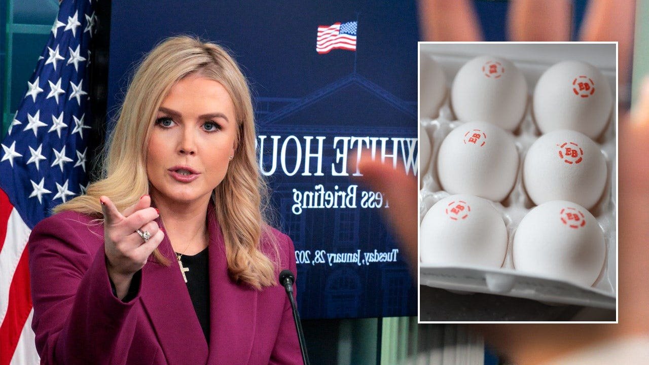 The White House says that the 100m biden admin slaughter contributed at high prices of eggs