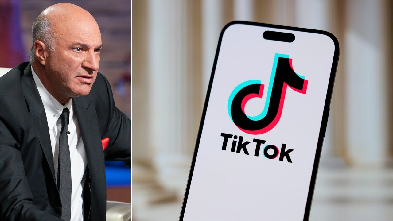 Kevin O’Leary puts $20m TikTok cash offer on the table: ‘The most interesting, complicated and crazy situation’