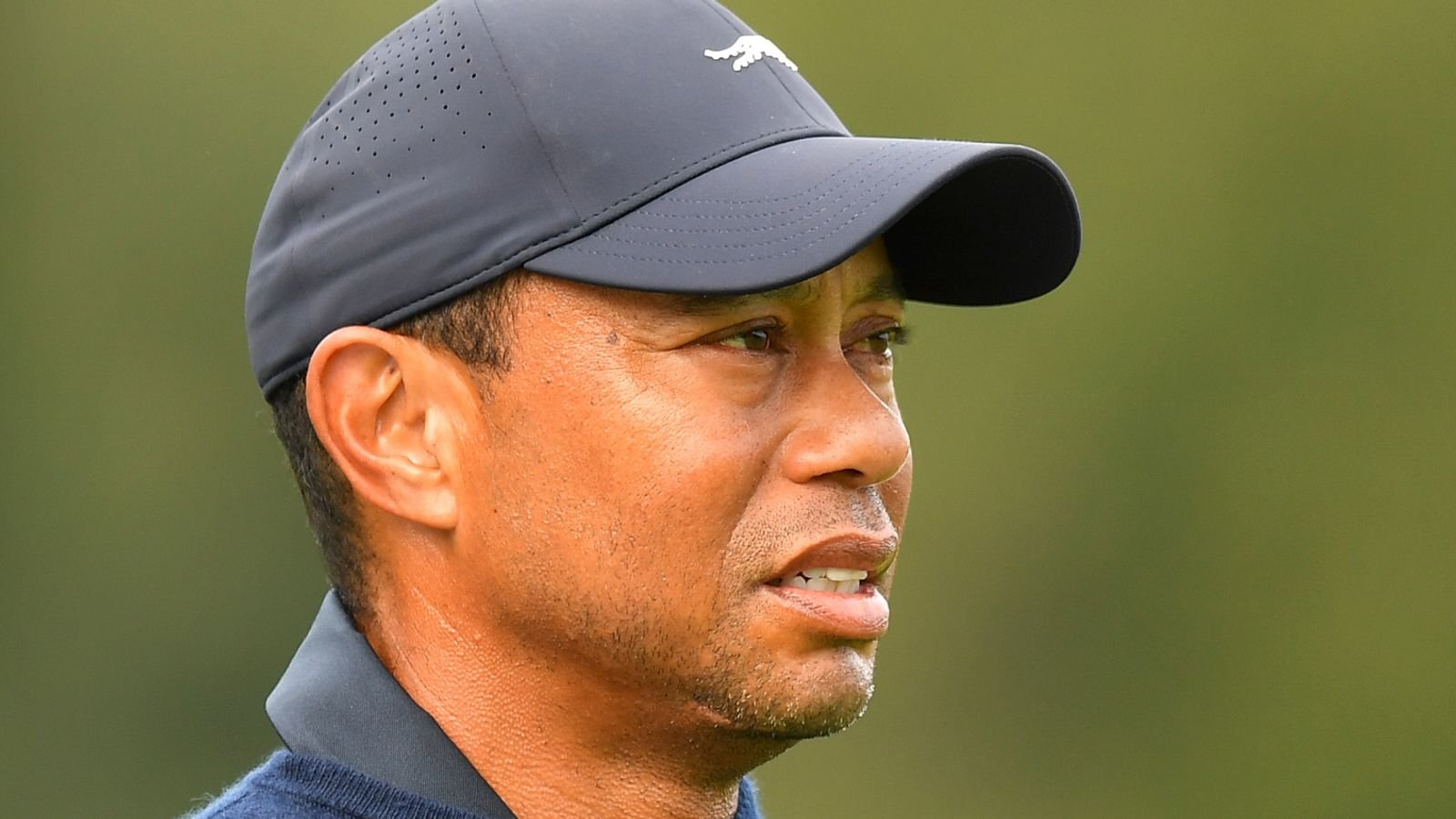 Los Angeles Fires: Tiger Woods offers support to those affected, updates on PGA Tour Genesis Invitational | Golf News