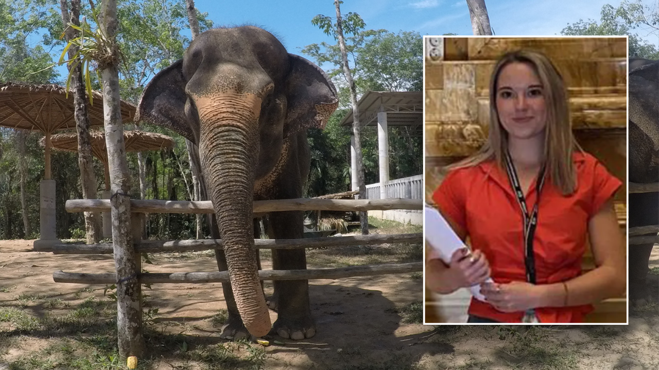 Elephant expert warns tourists after Blanca Ojanguren García dies in Thailand