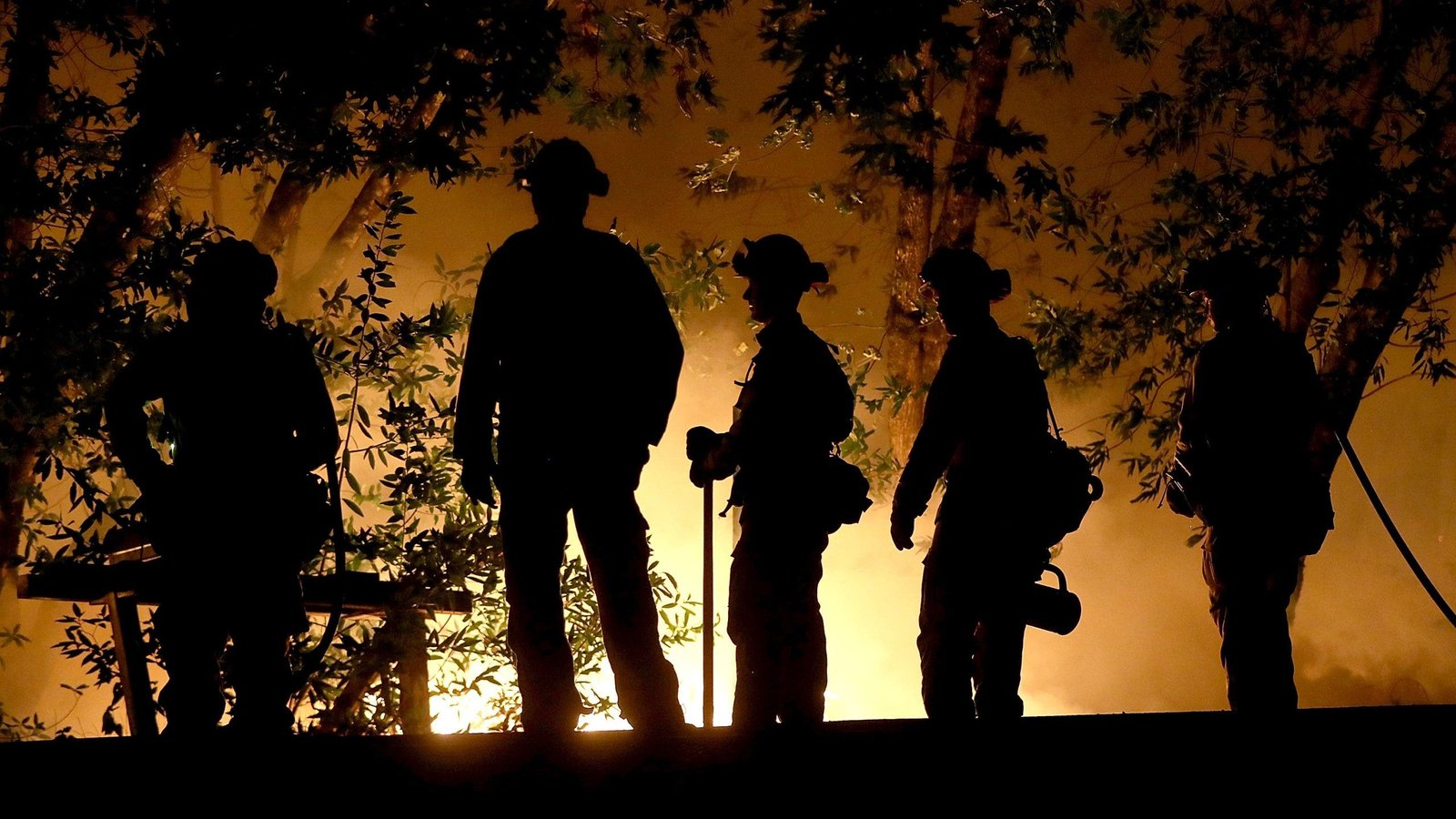 Private firefighters: who are they, how much do they cost?