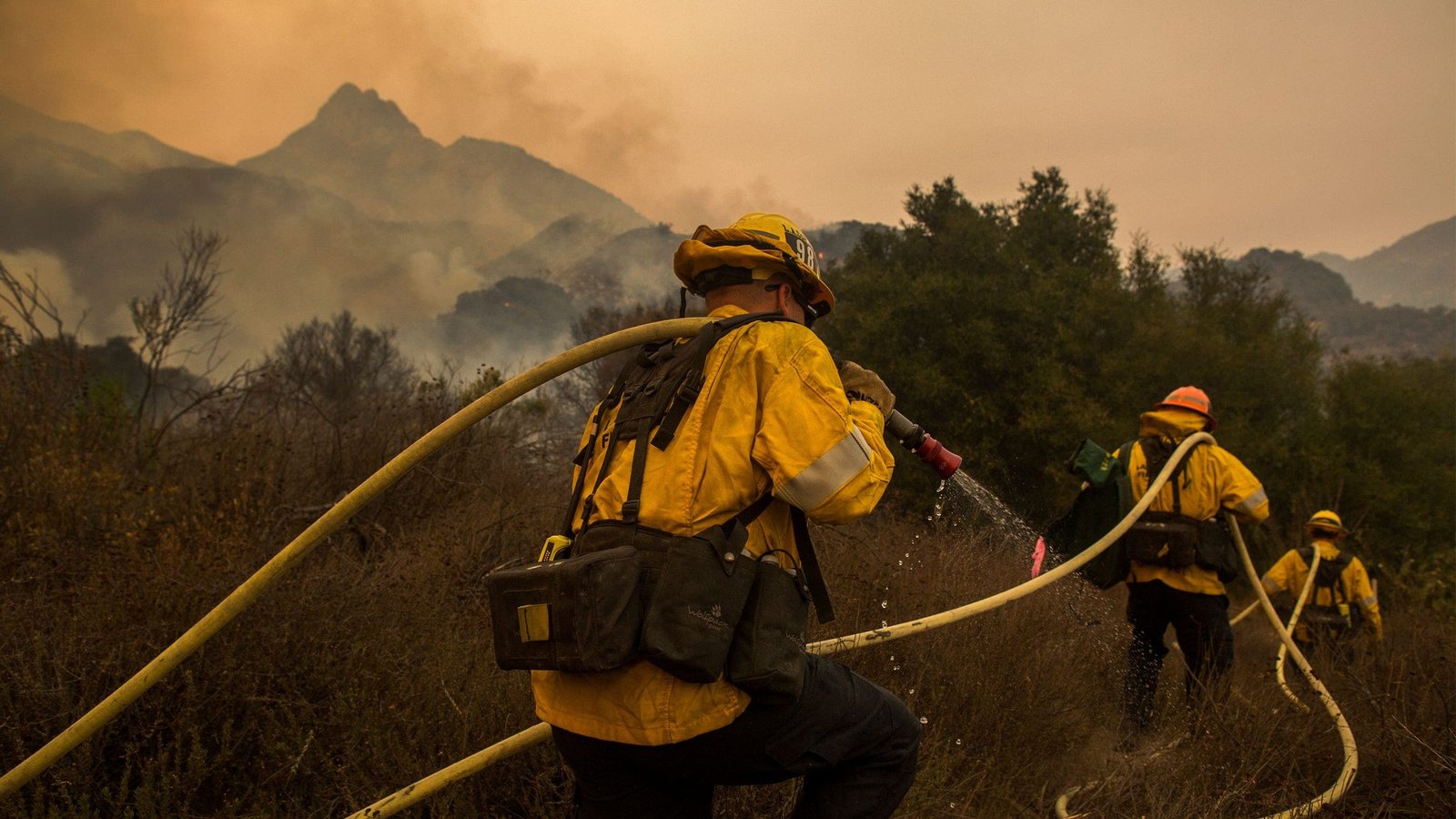 These are the costliest wildfires in the United States